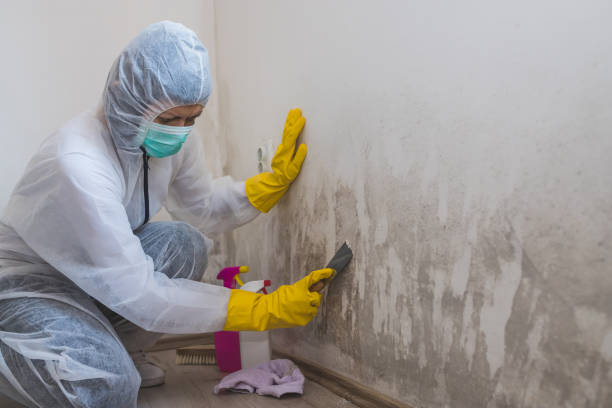 Best Biohazard Mold Removal  in Gloversville, NY